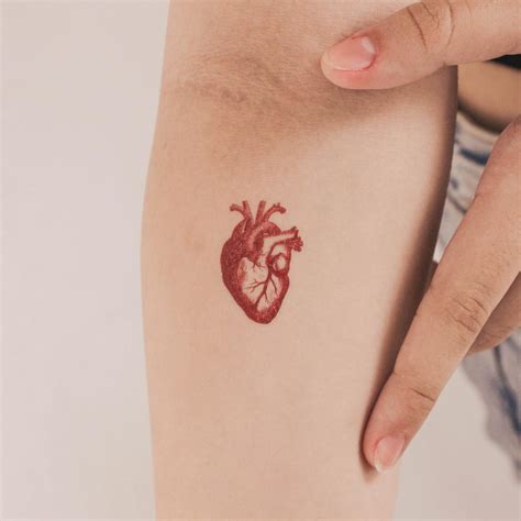 Red Anatomical Heart Temporary Tattoo Set Of 3 Etsy Israel Red Anatomical Heart Temporary Tattoo Set Of 3 Etsy Israel