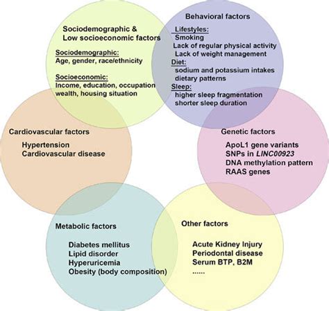 Risk Factors Associated With Ckd Risk Factors Associated With Ckd Are Download Scientific Diagram Risk Factors Associated With Ckd Risk Factors Associated With Ckd Are Download Scientific Diagram