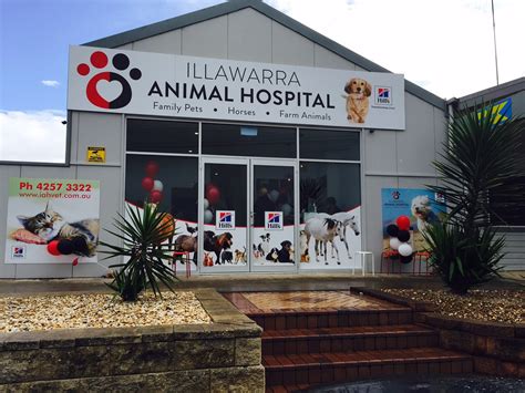 Ryan Veterinary Vet Emergency Rooms Meet Ryan Illawarra Animal Hospital Vet Wollongong