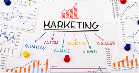 Safe Onlyfans Marketing Strategies For Success Transvitae Safe Onlyfans Marketing Strategies For Success Transvitae