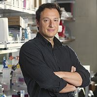 Scientists Sink Their Teeth Into A Molecular Understanding Of Human Personality The Stem Cellar Scientists Sink Their Teeth Into A Molecular Understanding Of Human Personality The Stem Cellar