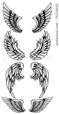Set Of Eagle Wings In Tattoo Style Design Stock Illustration 74239030 Pixta Set Of Eagle Wings In Tattoo Style Design Stock Illustration 74239030 Pixta