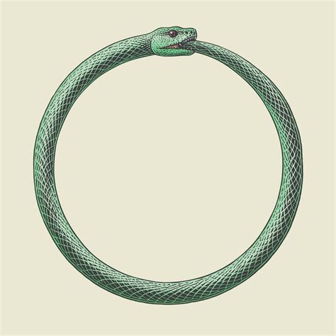 Snake Biting Its Own Tail Around My Arm Done At Needlefactory In Lana It By Johnny R Tattoos Snake Biting Its Own Tail Around My Arm Done At Needlefactory In Lana It By Johnny R Tattoos