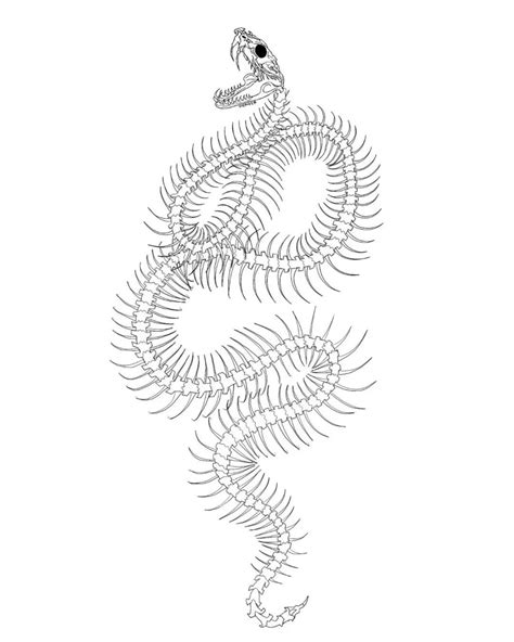 5 Snake Skeleton Tattoo Ideas