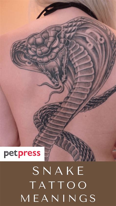 Snake Tattoo Meanings What Does The Snake Symbolize As A Tattoo Snake Tattoo Meanings What Does The Snake Symbolize As A Tattoo