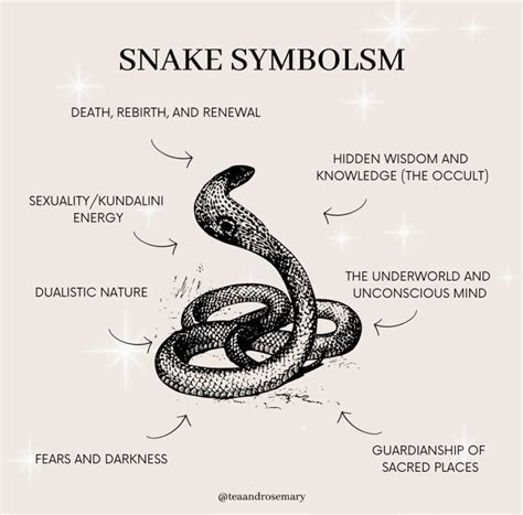 Snake Tattoo Symbolism Snake Tattoo Symbolism
