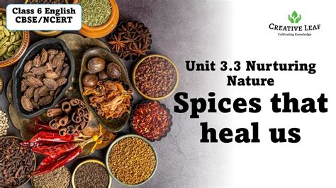 Spices That Heal Us Cbse Class 6 Ncert Poorvi Youtube Spices That Heal Us Cbse Class 6 Ncert Poorvi Youtube