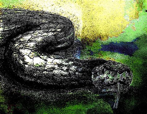 Spineless By Anna Rexha On Deviantart Spineless By Anna Rexha On Deviantart