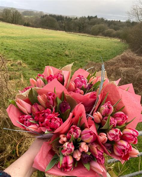 Spring Flowers Are Here Cumberland Flower Farm