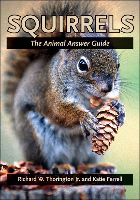 Squirrels The Animal Answer Guide The Animal Answer Guides Q A For The Curious Naturalist Thorington Jr Richard W Ferrell Katie E 9780801884030 Amazon Com Books Squirrels The Animal Answer Guide The Animal Answer Guides Q A For The Curious Naturalist Thorington Jr Richard W Ferrell Katie E 9780801884030 Amazon Com Books