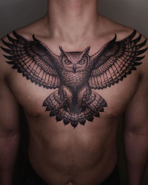 Start Of Owl Chest Piece Chest Piece Tattoos Owl Tattoo Design Chest Tattoo Outline Start Of Owl Chest Piece Chest Piece Tattoos Owl Tattoo Design Chest Tattoo Outline