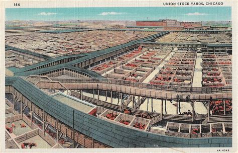 Stock Yards Chicago History In Postcards
