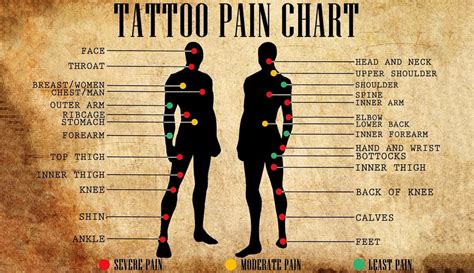 Tattoo Pain Chart For Male Female Unique Body Parts With Indicators