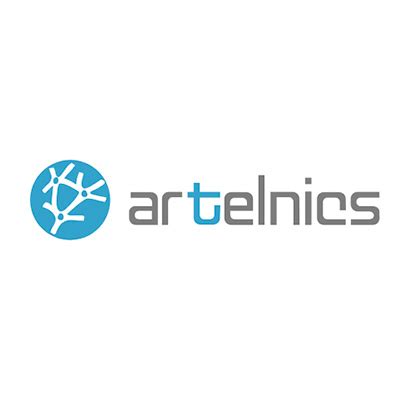 Technology Artelnics