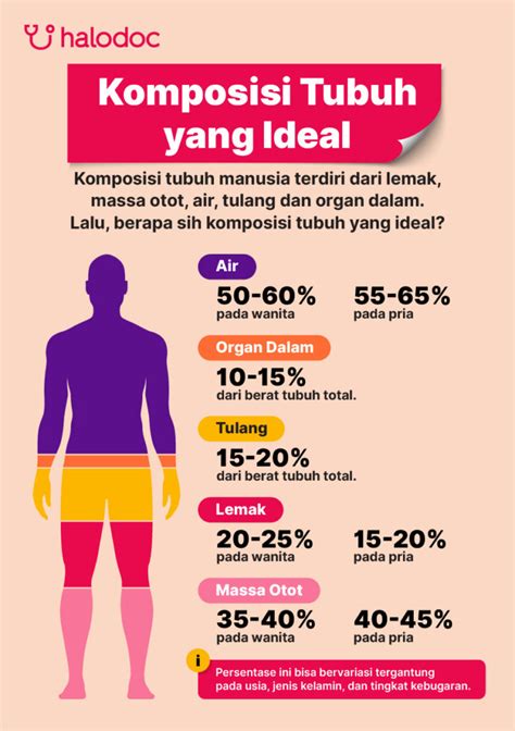 Temukan Cara Lansia Dapat Meningkatkan Komposisi Tubuh Mereka