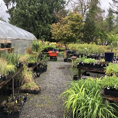 The Best 10 Nurseries Gardening In Utica Ny Updated 2026 Hours Yelp