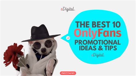 The Best 10 Onlyfans Promotional Ideas And Tips 2026 Guide Edigital Agency
