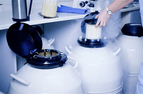 The Cryogenic Storage Dewar Features And Applications