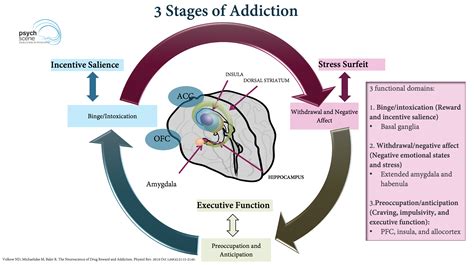The Neuroscience Of Addiction Application To Clinical Practice