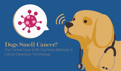 The Science Behind Dogs Sniffing Out Cancer A Z Animals The Science Behind Dogs Sniffing Out Cancer A Z Animals