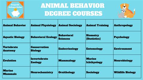 The Top 15 Animal Behaviorist Schools In The United States