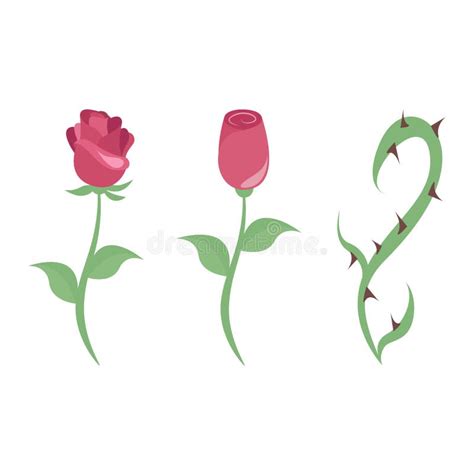 Thorn Rose Tattoo Stock Illustrations 872 Thorn Rose Tattoo Stock Illustrations Vectors Clipart Dreamstime Thorn Rose Tattoo Stock Illustrations 872 Thorn Rose Tattoo Stock Illustrations Vectors Clipart Dreamstime