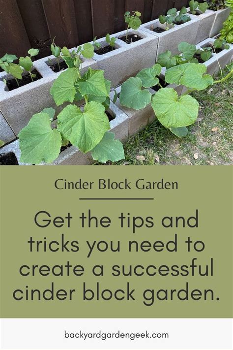 Tips And Tricks For Growing A Successful Cinder Block Garden Cinder Block Garden Cinder Block Tips And Tricks For Growing A Successful Cinder Block Garden Cinder Block Garden Cinder Block