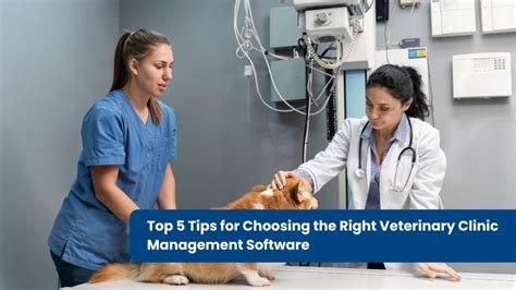 Top 5 Tips For Choosing Veterinary Clinic Management Software Top 5 Tips For Choosing Veterinary Clinic Management Software