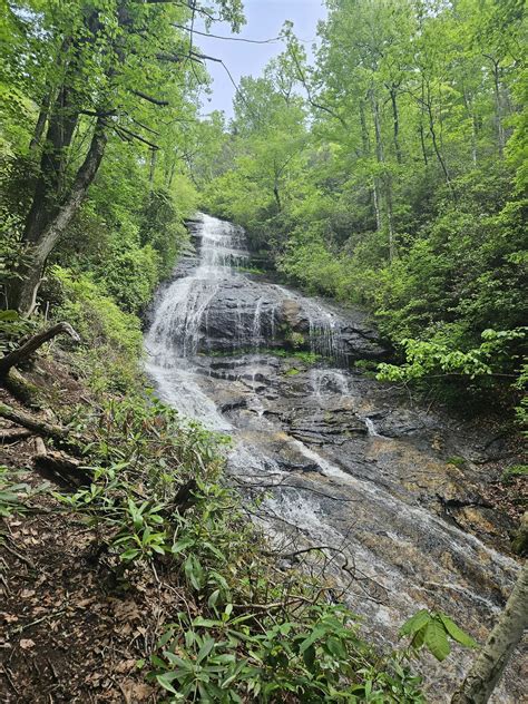 Top Or Best Tattoo Design Agencies And Companies In Conway Arkansas Dolfincontentshop