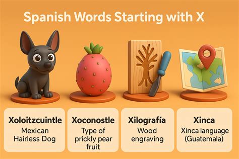 Top Spanish Words That Start With X For Language Learners