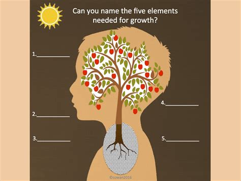 Tournesol Kids Growth Mind Elements Tournesol Kids Tournesol Kids Growth Mind Elements Tournesol Kids