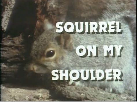 Twelve Things About Squirrels That Will Blow Your Mind Twelve Things About Squirrels That Will Blow Your Mind