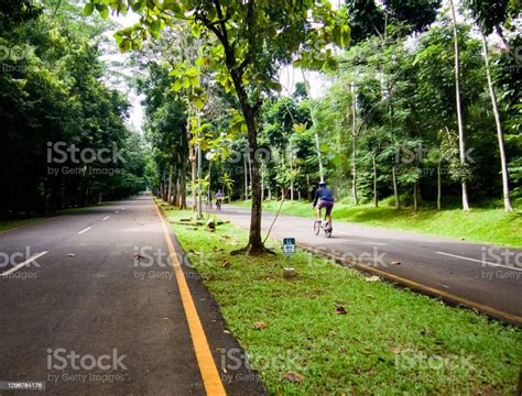 Two Ways Path Of City Forest Street Stock Photo Download Image Now Asphalt Blue Car Istock Two Ways Path Of City Forest Street Stock Photo Download Image Now Asphalt Blue Car Istock