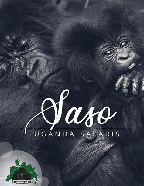 Uganda Language Saso Gorilla Safaris Uganda Uganda Language Saso Gorilla Safaris Uganda