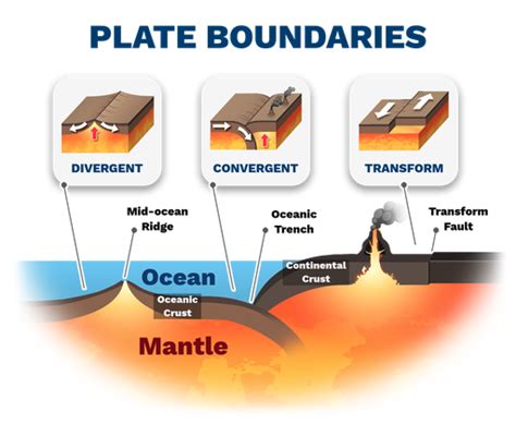 Understanding Divergent And Transform Plate Boundaries Explained Course Hero Understanding Divergent And Transform Plate Boundaries Explained Course Hero