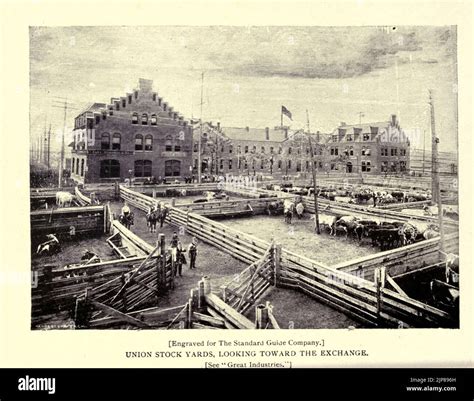 Union Stock Yards Looking Towards The Exchange From The Book Chicago The Marvelous City Of The