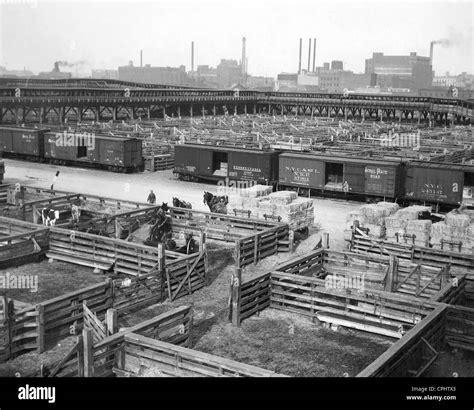 Union Stockyards In Chicago 1927 Stock Photo Alamy