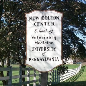 5 Ways Bolton Center Excels