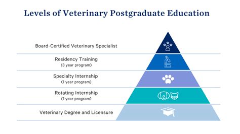 Veterinarian Education Requirements Veterinarian Education Requirements
