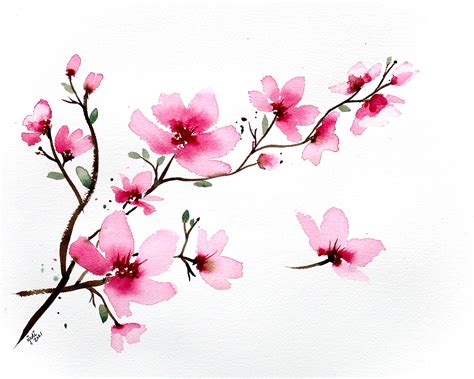 Watercolour Cherry Blossom Design 2 Lch Watercolour Cherry Blossom Design 2 Lch