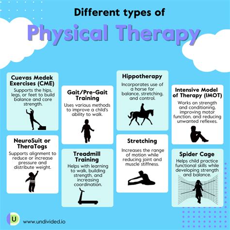 What Are 5 Things Physical Therapists Do Oakland Spine And Physical Therapy What Are 5 Things Physical Therapists Do Oakland Spine And Physical Therapy