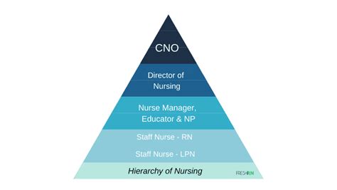 What Are The Levels Of Nursing Nurse Ranks Hierarchy Nurse Org What Are The Levels Of Nursing Nurse Ranks Hierarchy Nurse Org