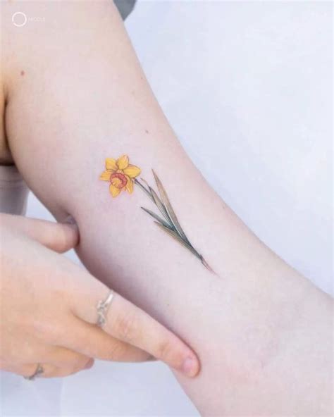 What Does A Daffodil Tattoo Mean What Does A Daffodil Tattoo Mean