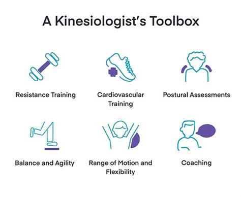 What Does A Kinesiologist Do 6 Effective Techniques