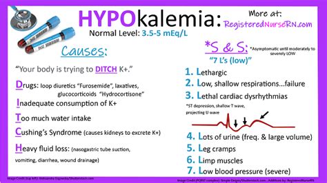What Is Hypokalemia Medizzy What Is Hypokalemia Medizzy